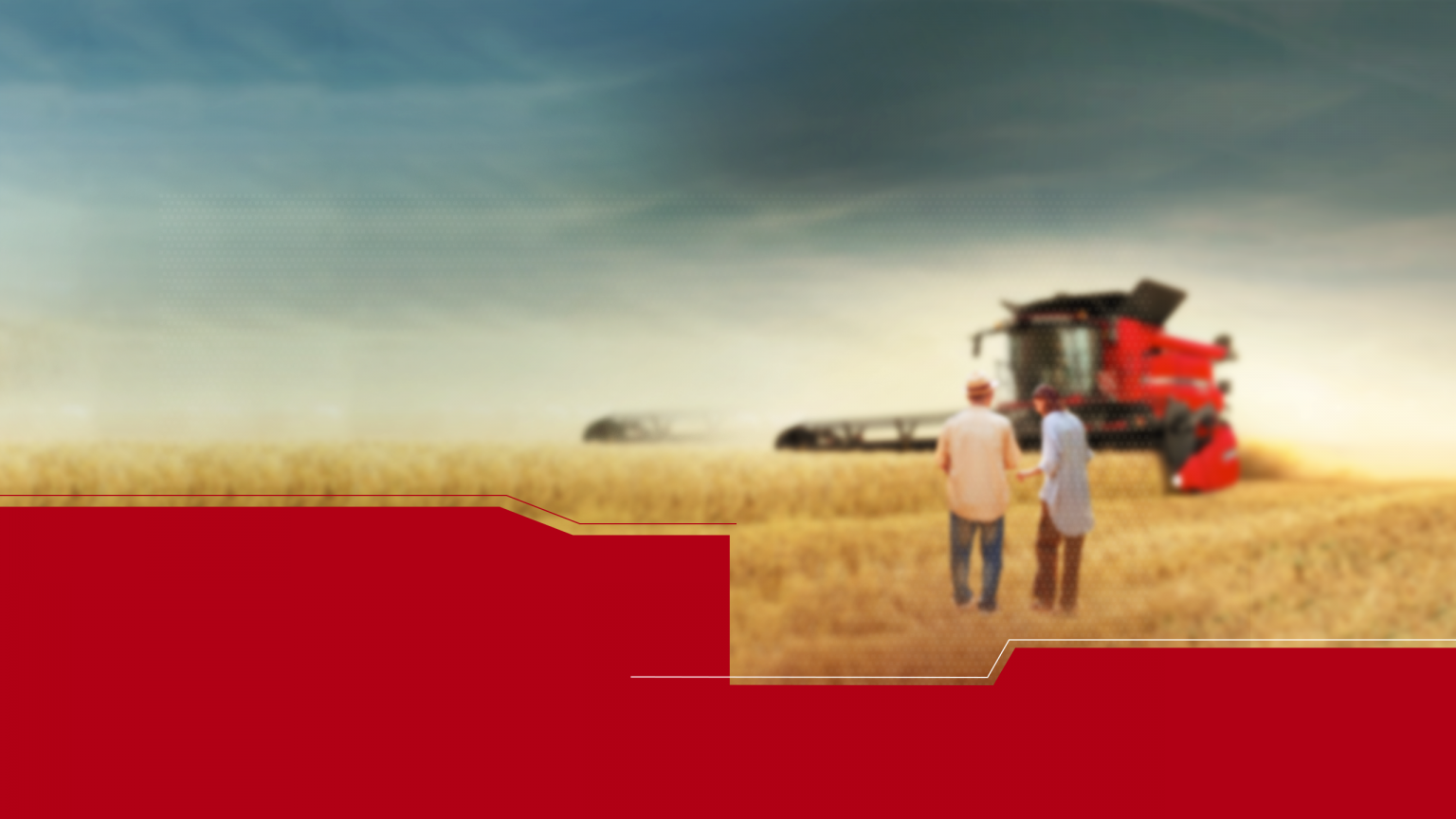 BANNER SITE VENDEDOR-bg