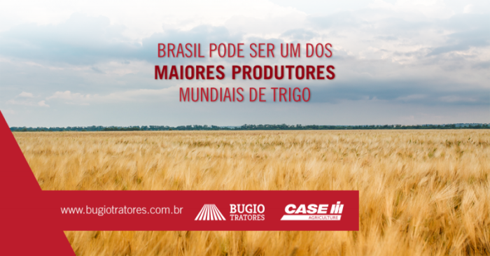 Brasil Pode Ser Um Dos Maiores Produtores Mundiais De Trigo Bugio Tratores 2706